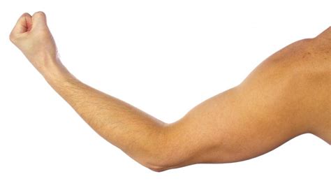 arm